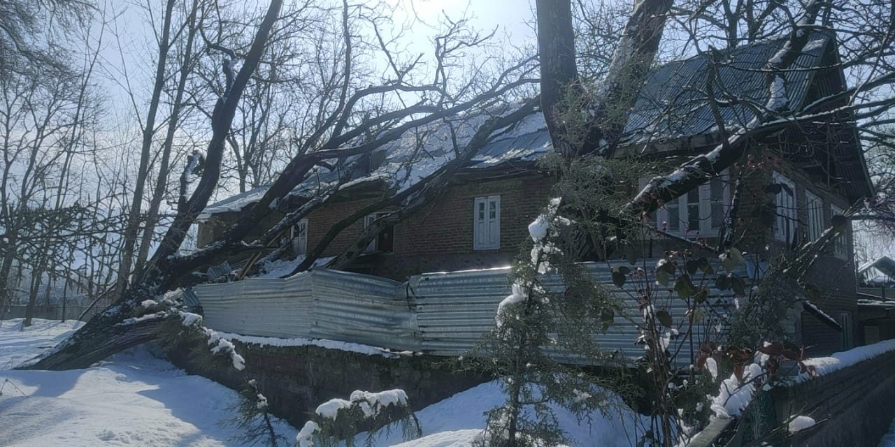 House damaged in Arch, after snowfall brings walnut tree down