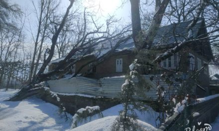 House damaged in Arch, after snowfall brings walnut tree down