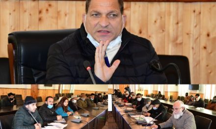 DDC Ganderbal reviews power scenario in district