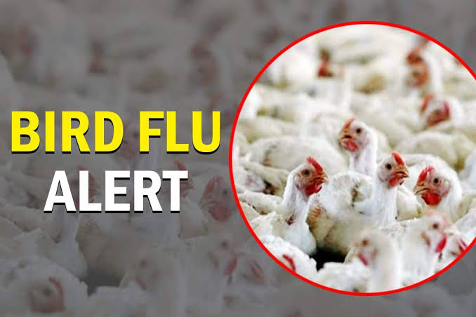 First case of bird flu reported in Poonch