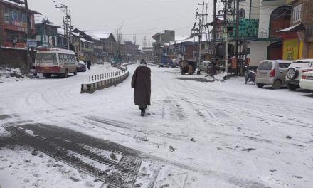 Fresh Snowfall In Kashmir, Temperatures Improve Significantly