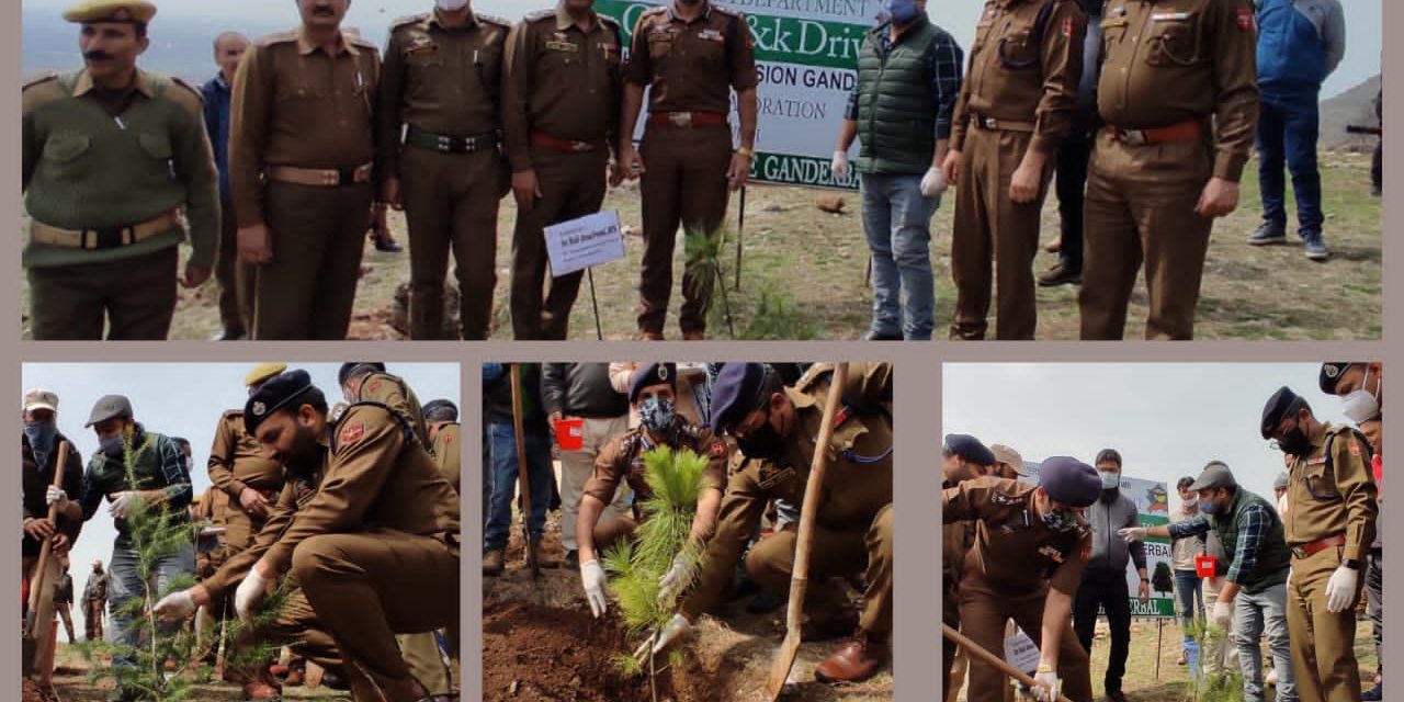 SSP Ganderbal launches plantation drive in collaboration with JK forest AT Dignibal