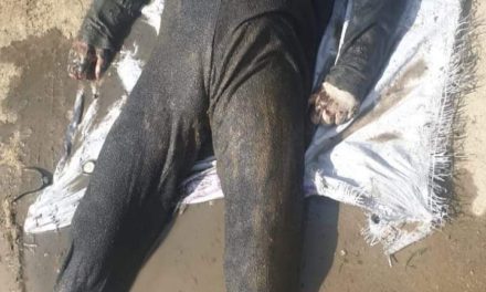 Unidentified decomposed body found near railway track in Pattan
