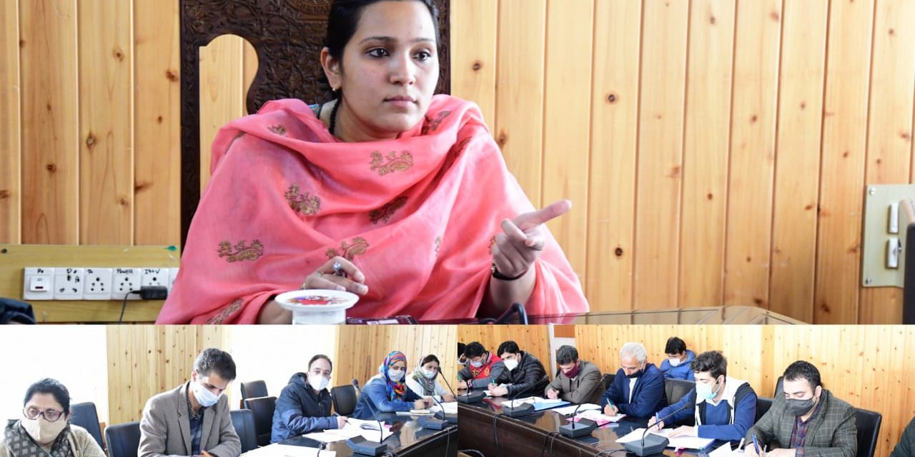 DDC Gbl reviews functioning ICDS, NRLM and other departments