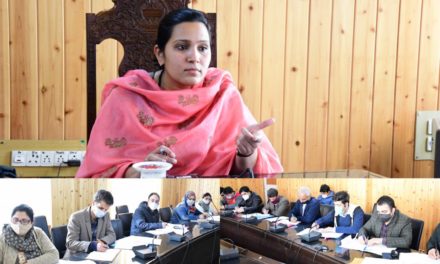 DDC Gbl reviews functioning ICDS, NRLM and other departments