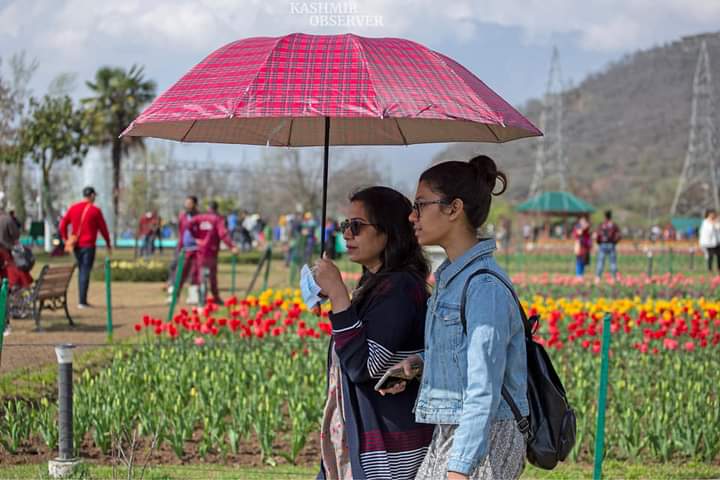 In just 5 days, Asia’s largest Tulip Garden mesmerizes record 50,000 visitors