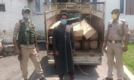 Timber smuggler arrested in budgam; 14 logs of illicit timber and 01 vehicle seized