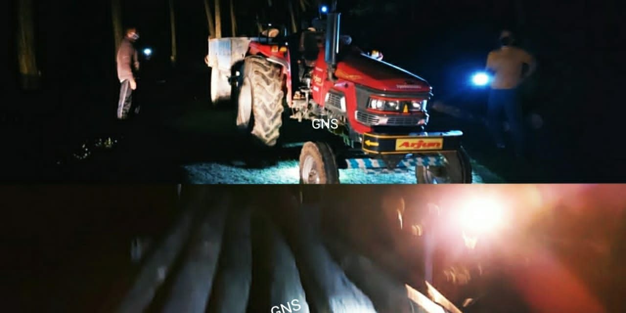 Forest Officials Seizes 36 Logs of Illicit Timber in Natnussa of Handwara Departmental Employees Involved, Will Initiate Action: DFO Kamraj