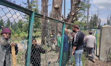 5 journalists among 18 wounded as forest eviction drive turns violent in Shopian