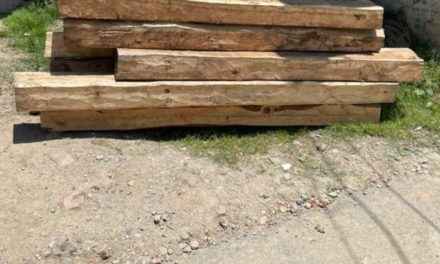 Sopore police seized illicit timber;case registered