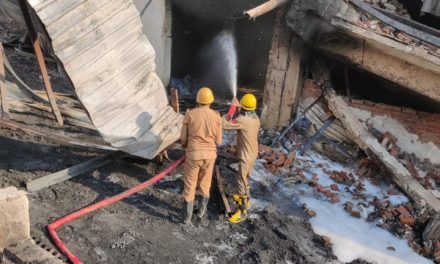 Fire destroys Pesticide factory in Udhampur