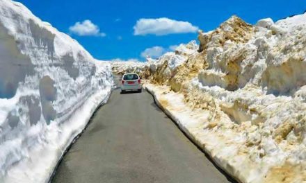 Mughal Road To Open For Fruit Trucks, Movement Of Gujjar-Bakerwals