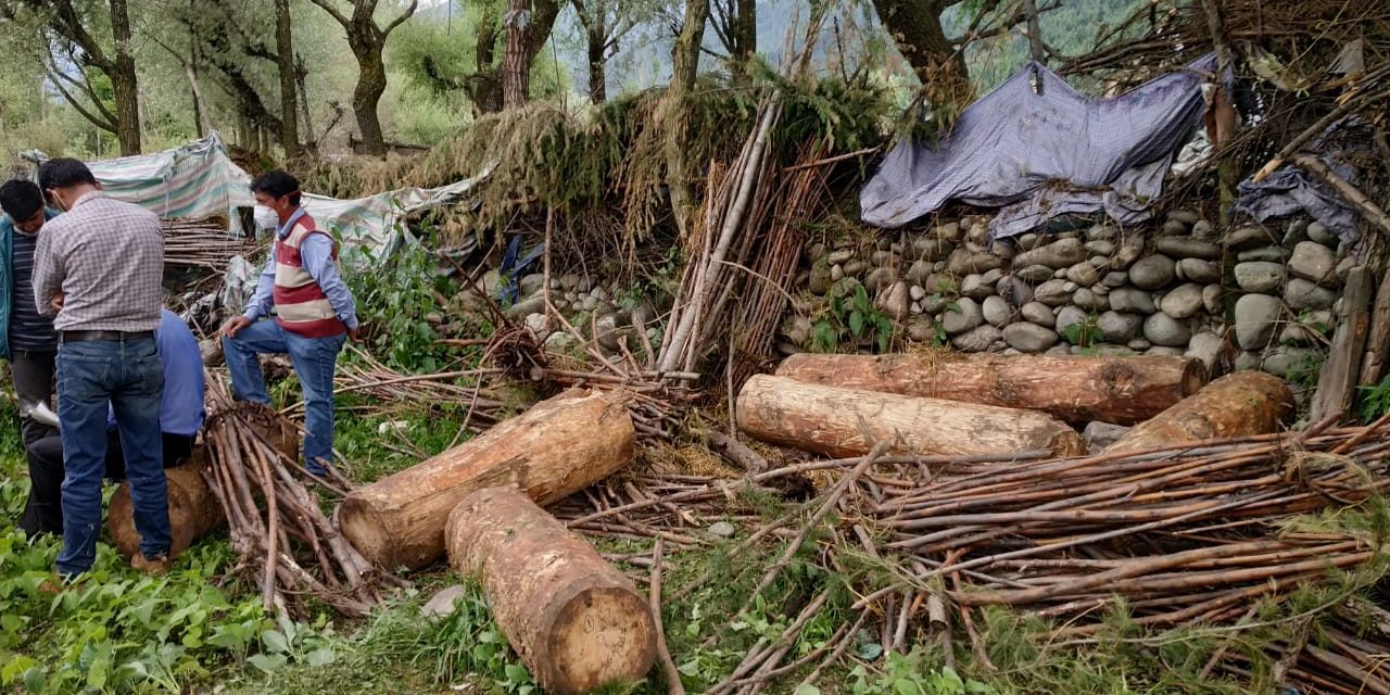 Illegal timber seized in Akhal Kangan
