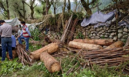 Illegal timber seized in Akhal Kangan