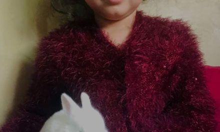 Missing 4-year-old girl mauled to death by leopard in Budgam village