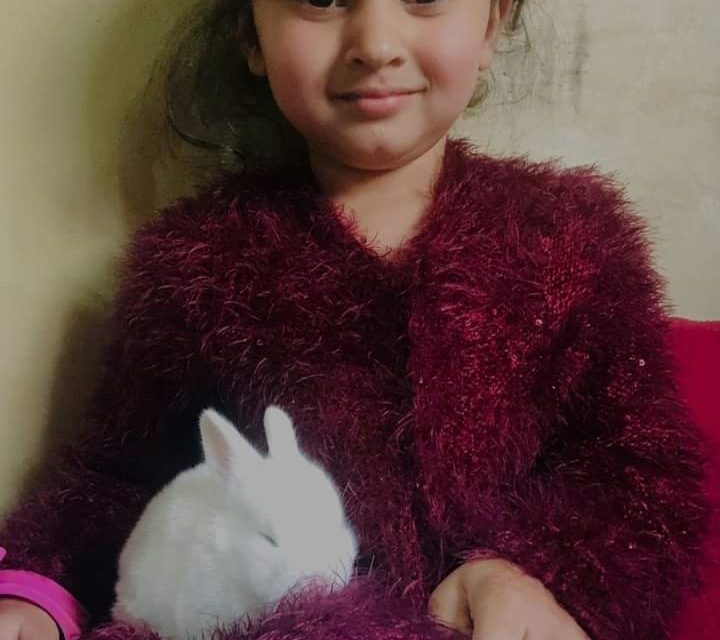 Missing 4-year-old girl mauled to death by leopard in Budgam village