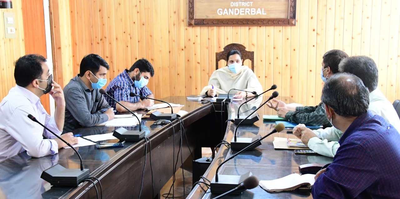 Development, conservation plan for Manasbal Lake discussed at Gbl
