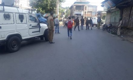 Woman Among 3 Injured In grenade Blast in Barbarshah Srinagar
