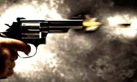 Joint Forces fired warning shots during CASO in Shopian