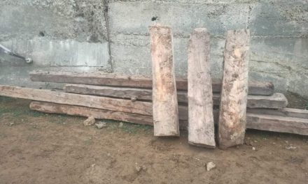 Bandipora Police seized Illicit forest timber in Aloosa FIR Registered