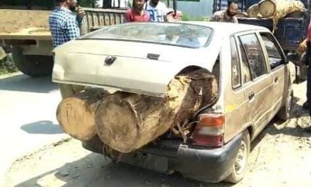 Maruti car carrying illicit timber seized in Ashtangoo bandipora