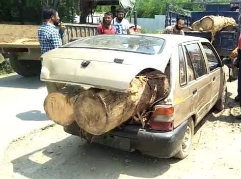 Maruti car carrying illicit timber seized in Ashtangoo bandipora