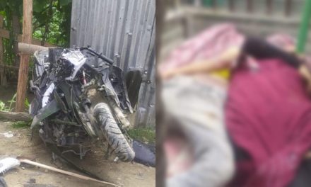 3 killed in Panzinara road accident