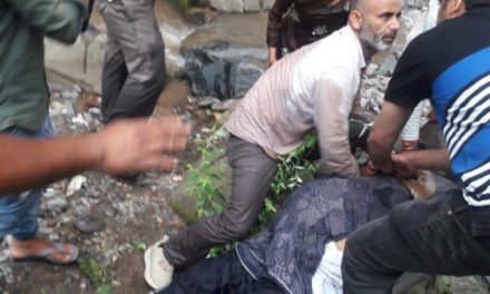 Elderly woman dead, her son, daughter-in-law injured as ambulance plunges into nullah in J&K’s Doda