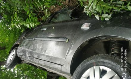 Alto Car turns turtle In Fraw Kangan,2 persons injured
