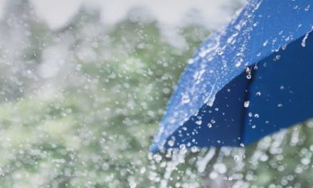 ‘Brief spell of light rain’ may occur at isolated places in J&K for next 1 week: MeT