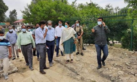 DC Ganderbal takes extensive tour of town;Inspects various developmental works