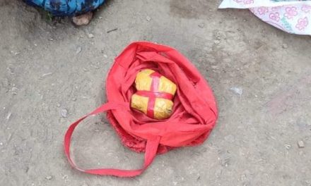 26-Yr-Old Youth Arrested With 2 Grenades At Lal Chowk Srinagar