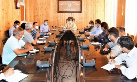 DC Gbl reviews arrangements for I Day, 2021