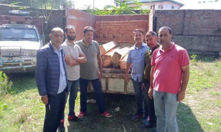 Vehicle loaded with illicit timber seized in Rafiabad village