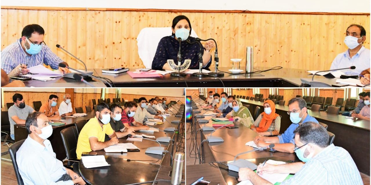 DC Gbl reviews progress on Vaccination drive in district