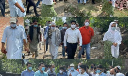 DC Bandipora conducts extensive tour of Malangam village, holds Public Interaction