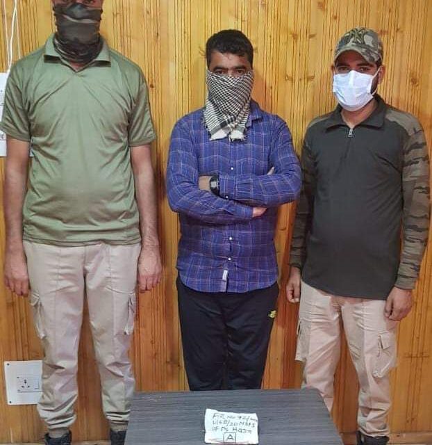Drug Peddler Arrested by Bandipora Police in Hajin,Contraband Substance Recovered.
