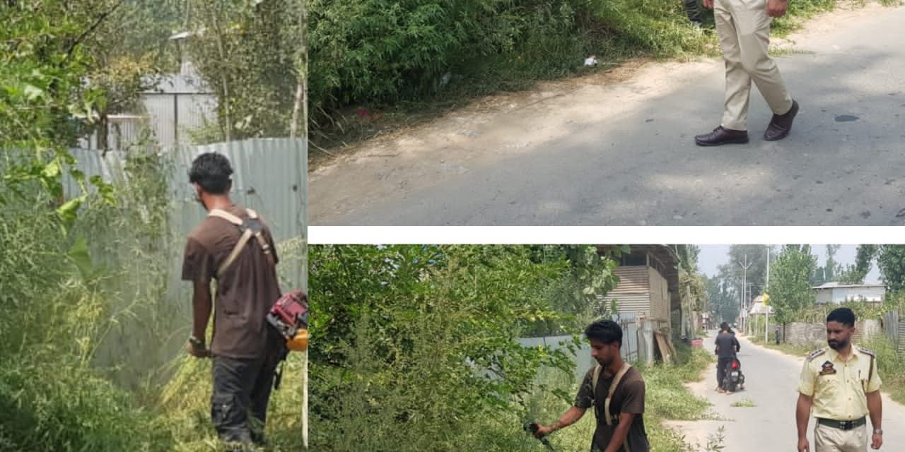 Bandipora Police Carries Out Bhung Destruction Drive In Hajin