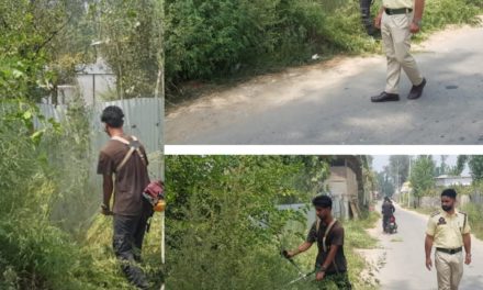 Bandipora Police Carries Out Bhung Destruction Drive In Hajin