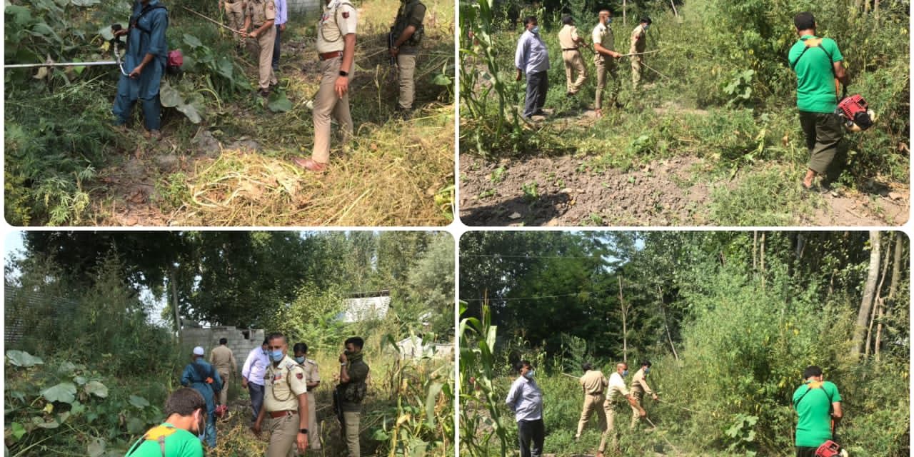 Bung Destruction Drive carried out by Police Post Shadipora.