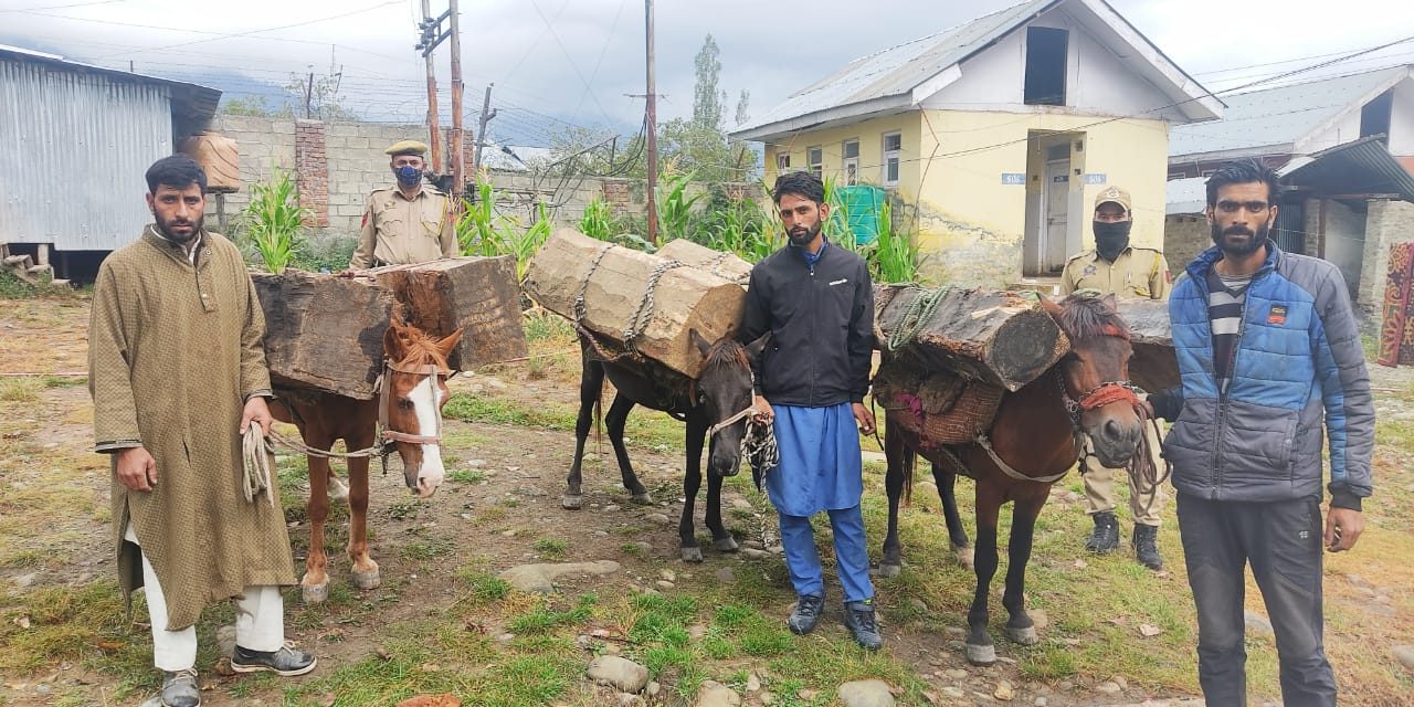 3 timber smugglers arrested in Budgam: Police;’24 Cft timber, 3 horses seized’