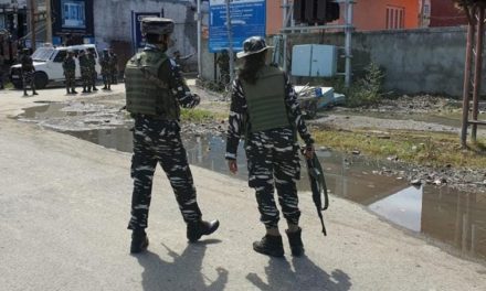 Grenade attack in Chanapora, CRPF man, lady suffer minor injuries