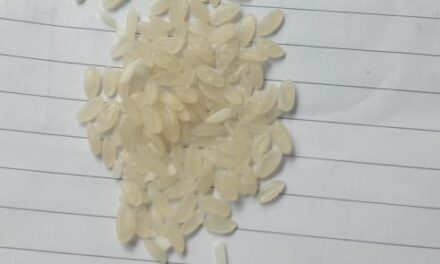 At Kani Kadal ration depot, people allege distribution of ‘Plastic Rice’