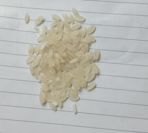 At Kani Kadal ration depot, people allege distribution of ‘Plastic Rice’