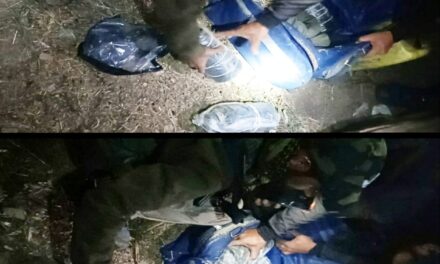 3 locally made IEDs, 3kgs urea recovered from abandoned shed in Kralpora Kupwara