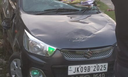Driver Injured After Alto Car Skids Off Road at Kangan