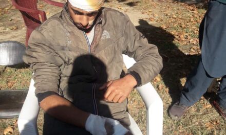 Teenager Boy wounded in bear attack in Lar Ganderbal