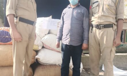 Ganderbal Police Foils Smuggling Bid Of Forest Produce;one arrested,vehicle seized