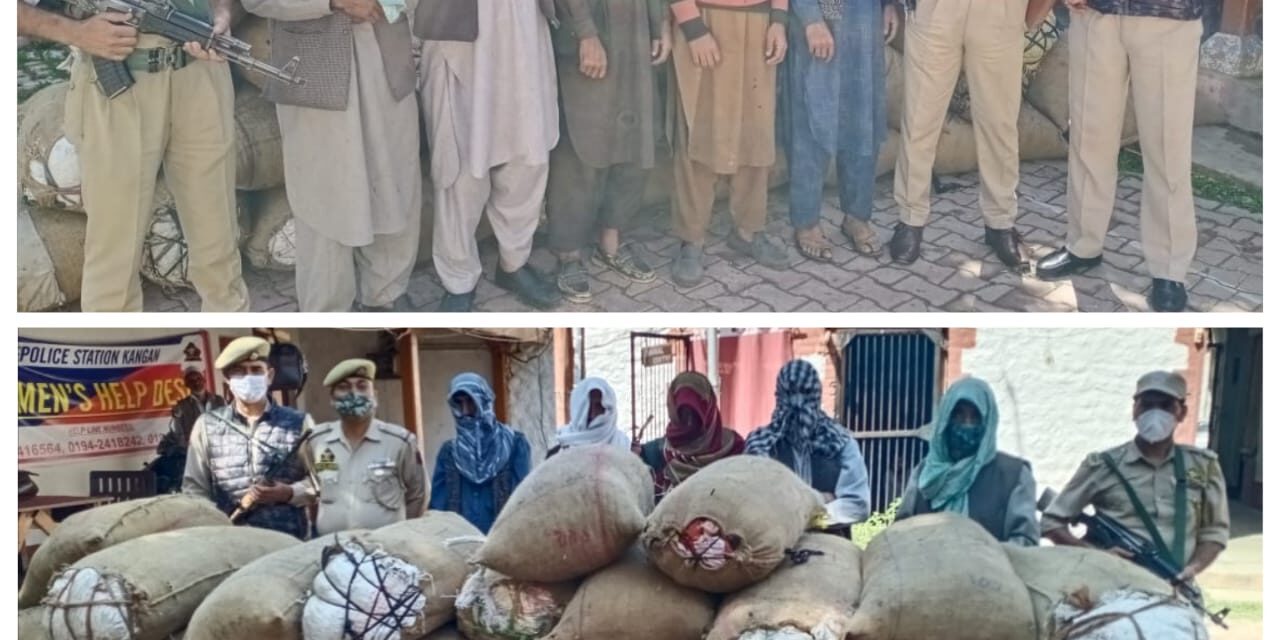 Ganderbal Police seized 1102 Kg of medicinal plants in Kangan,05 persons arrested.