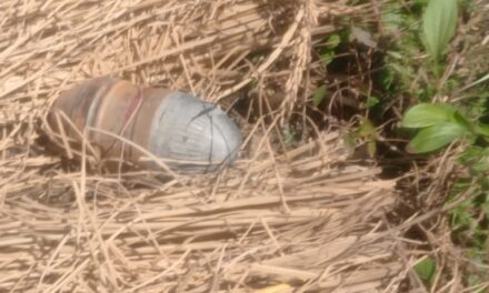 Grenade Found, Defused in Kulgam